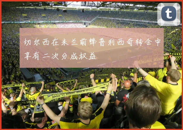 切尔西在米兰前锋普利西奇转会中享有二次分成权益