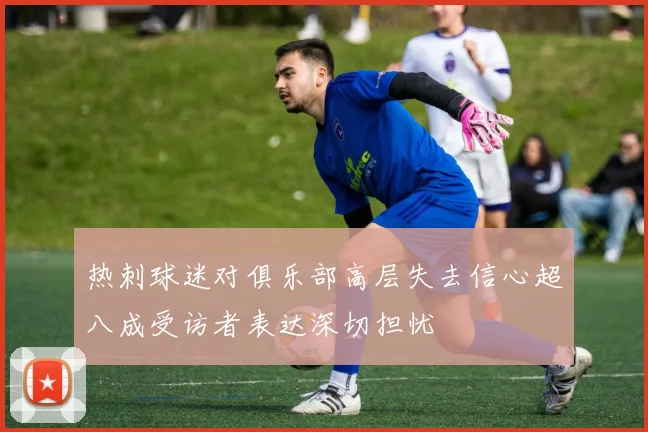 热刺球迷对俱乐部高层失去信心超八成受访者表达深切担忧