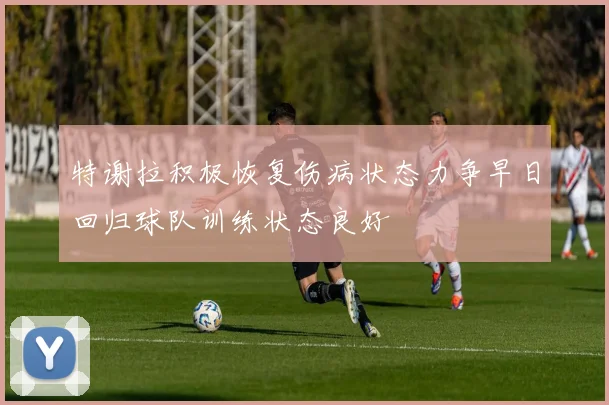 特谢拉积极恢复伤病状态力争早日回归球队训练状态良好
